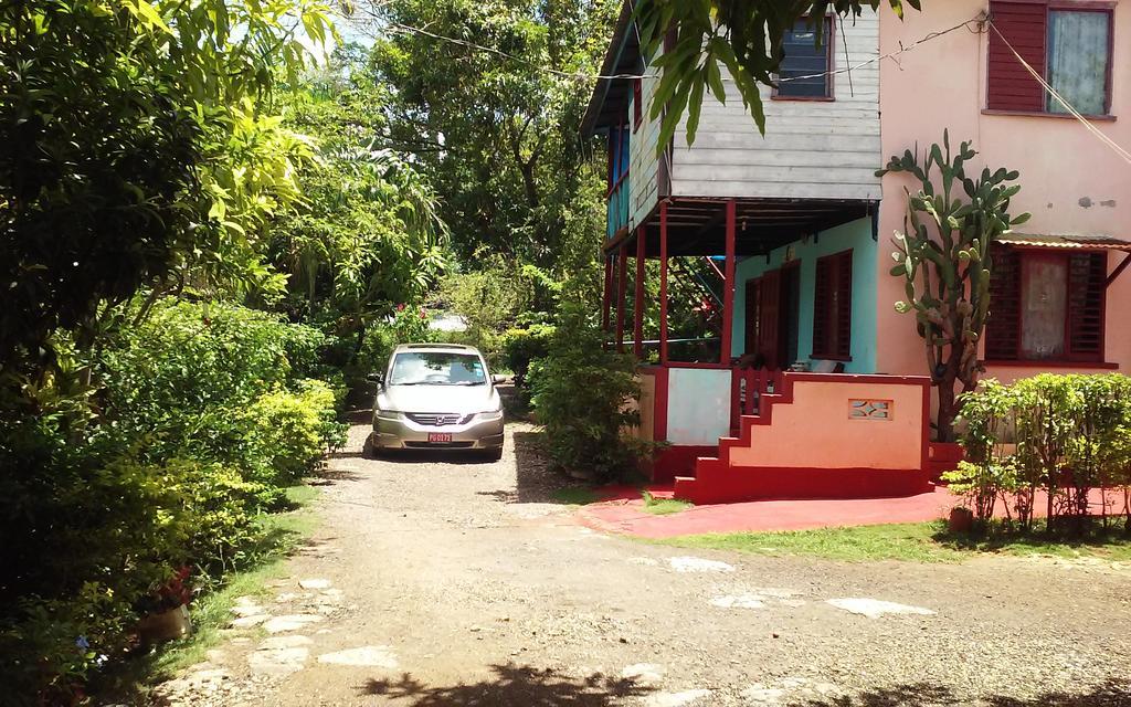 Shades Cottage Guesthouse Blue Hole Ngoại thất bức ảnh