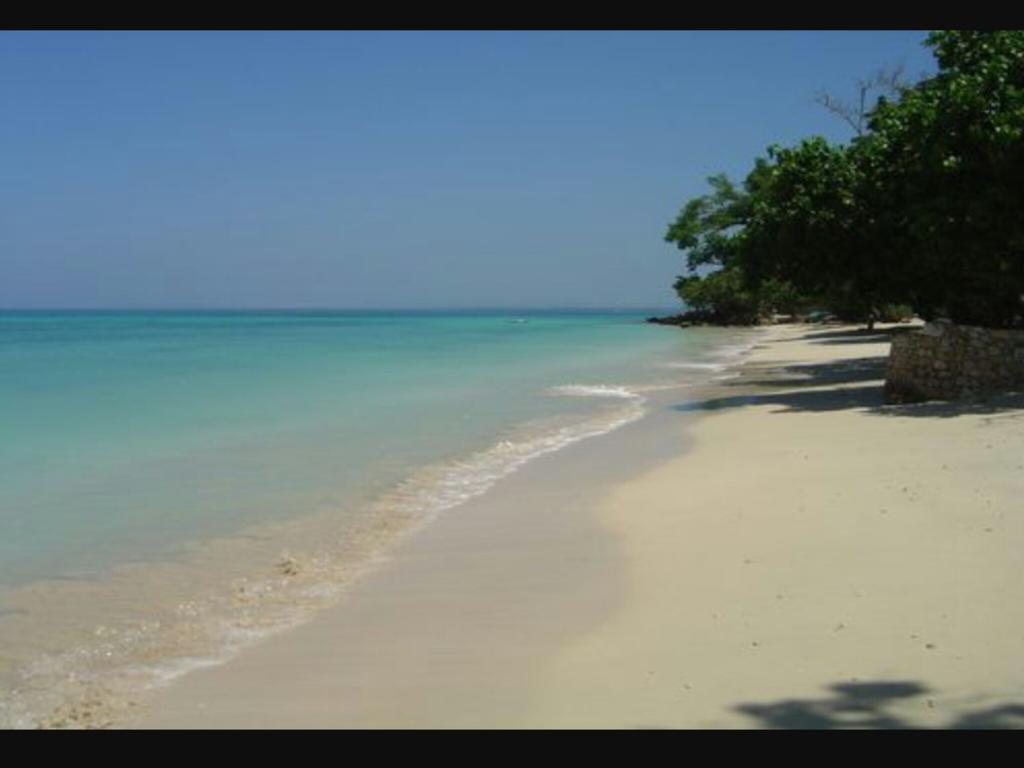 Shades Cottage Guesthouse Blue Hole Ngoại thất bức ảnh