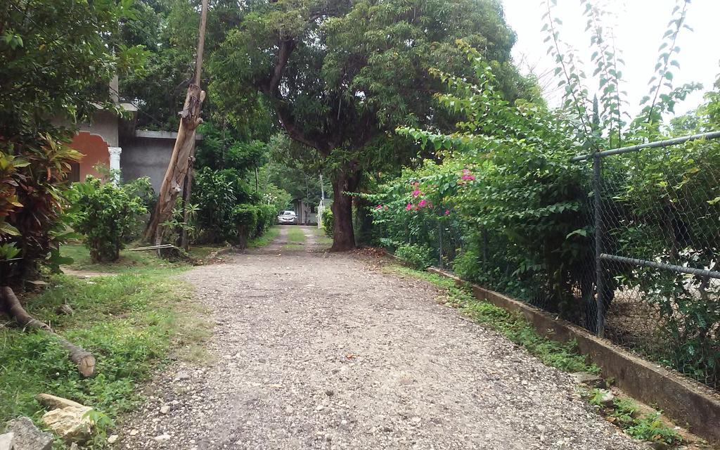 Shades Cottage Guesthouse Blue Hole Ngoại thất bức ảnh